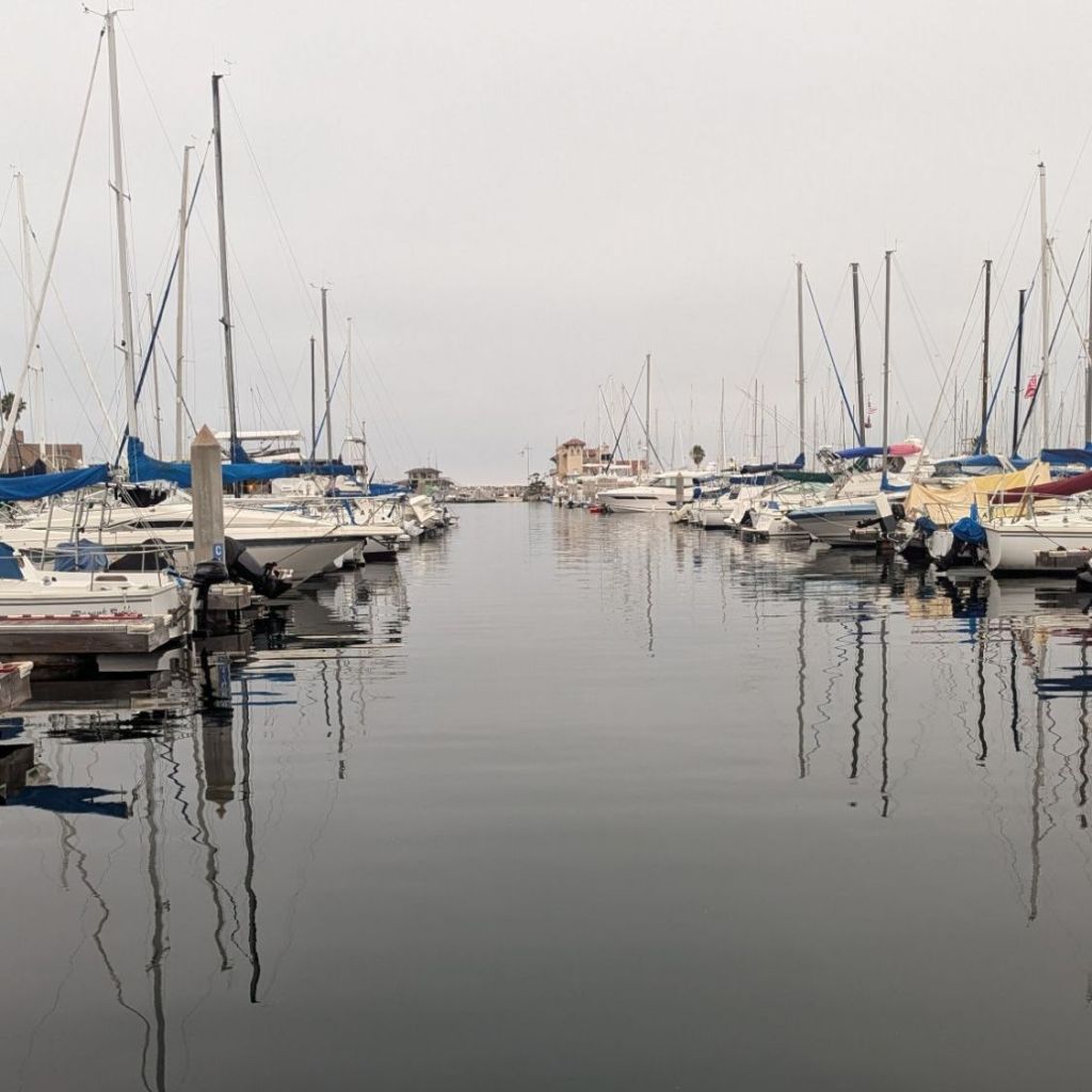 Boats at a marina.